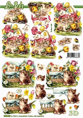 8215528 Katzen und Blumen