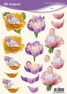VBK2015 Baby in der Blume
