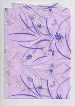 1970-009 Hintergrund Engelshaar