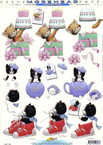 11052-053 Katze in der Teekanne