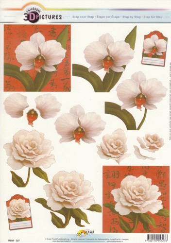 11055-327 Orchidee/Rose