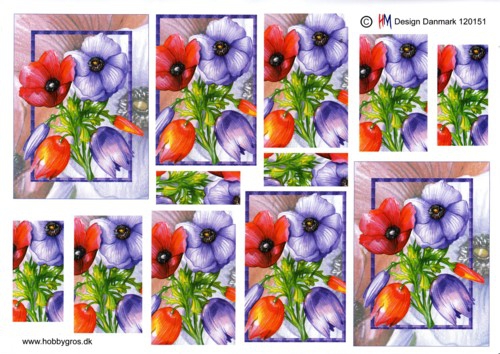 H120151  Pyramidenbogen Blumen