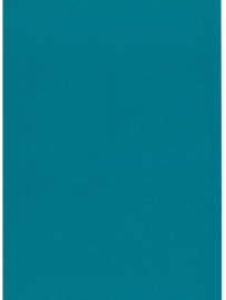 759392-2013 Pickup Linnen Cardstock 10 Bogen 13,5 x 27 cm 215gr