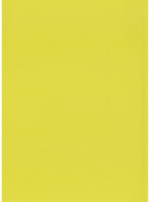 759392-2026 Pickup Linnen Cardstock 10 Bogen 13,5 x 27 cm 215gr