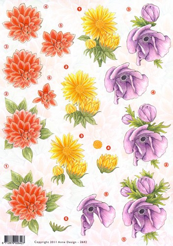 VBK2642 Bunte Blumen