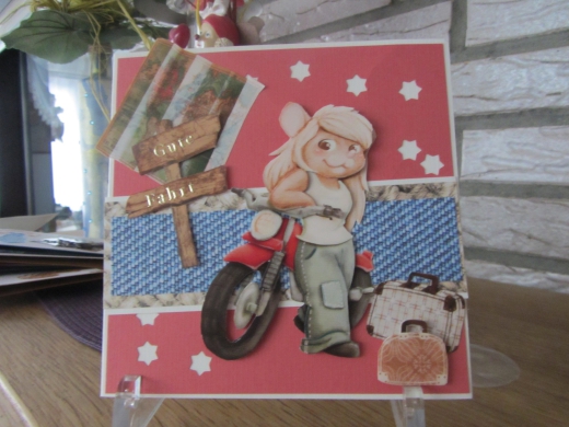 CD10951 Sky Motorbike