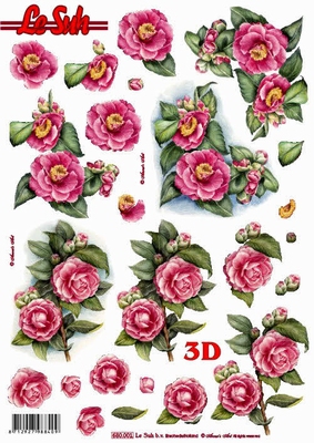 680001 Stanzbogen 2 x Blumen