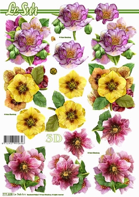 777328  Blumen in rosa gelb