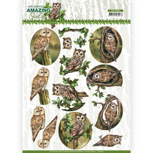 CD11564 AD Schneidebogen Amazing Owls Forest Owls