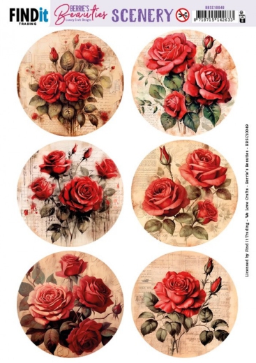 BBSC10049 Push Out Scenery Berries Beauties Red Roses Round