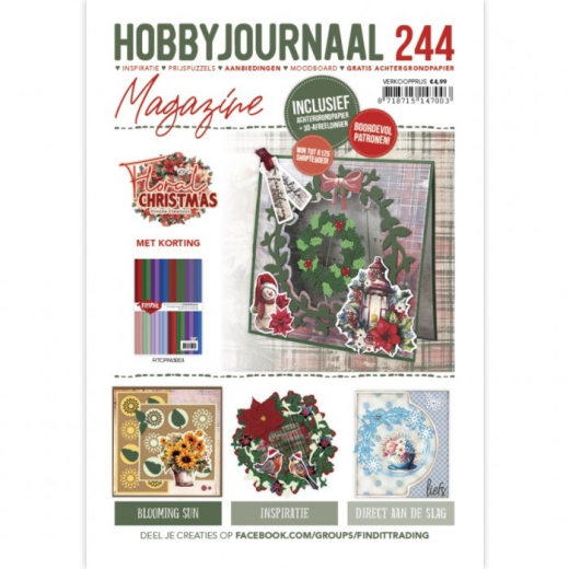 Hobbyjournal Nr. 244 Magazin