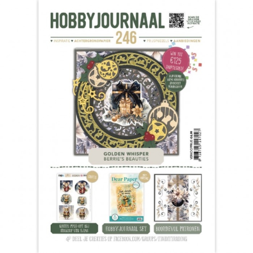 Hobbyjournal Nr. 246 Magazin