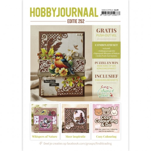 Hobbyjournal Nr. 252 Magazin mit Gratis 3D Bogen
