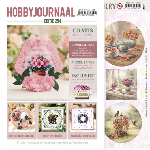 Hobbyjournal Nr. 254 mit Gratis 3D Bogen