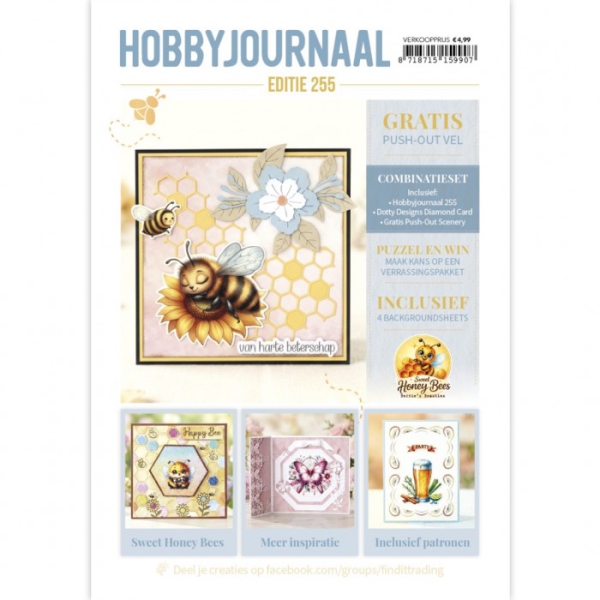 Hobbyjournal Nr. 255 Magazin