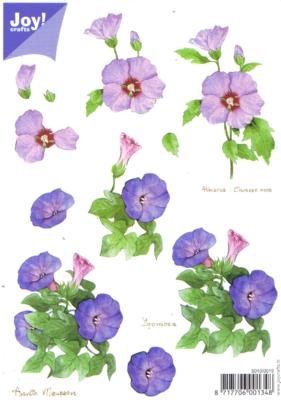 6010-0019 Blaue Blumen