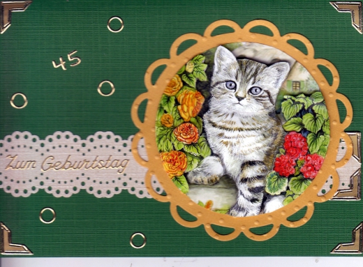 STAPFTM01 Katzen und Hunde