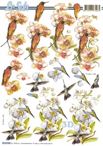 8215308 Kolibri und Orchideen