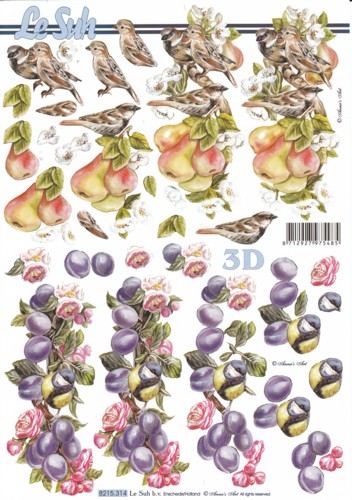 8215314 Birnen und Pflaumen