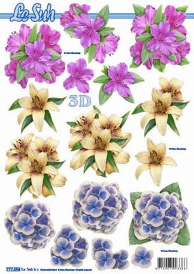 777294 Lilie, Hortensie