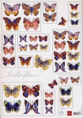 IT 550 Schmetterlinge 1