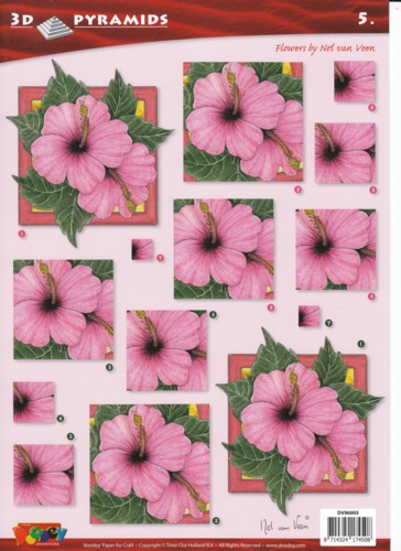DV96005 Flowers by Nel van Veen pink