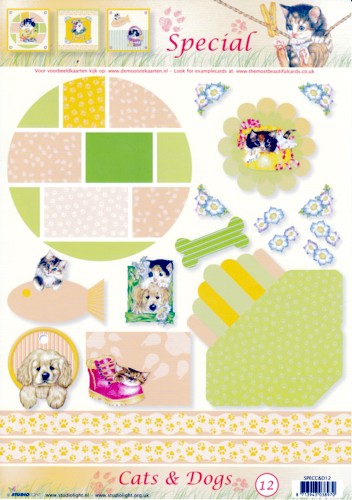 SPECC&D12 Special Bogen