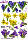 777393 Hyazinthen und Krokusse