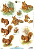 11055-274 Reh und Eichhrnchen