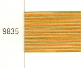 9835 Mettler Silk-Finish Multi 100m