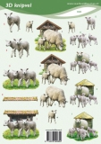 VBK2065 Schafe
