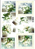 4169462 Weie Blumen