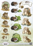 CD10455 AD Animal Medley Rodents
