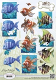 CD10538 AD Animal Medley Tropical Fisch