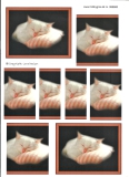 066668 Schneidebogen A4 Schlafende katze