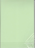 20094 A4 Karton grn 220 gr