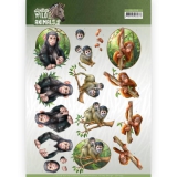 CD11299 AD Wild Animals 2 - Monkeys (Affen)