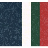 0541.0226 Duftpapier 5 Blatt Stechpalme 27,00 x 13,5 cm