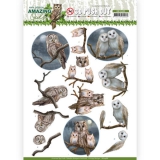SB10486 AD Amazing Owls - Night Owls