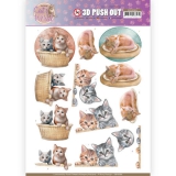 SB10380 AD Stnzbogen Cats World Kitten