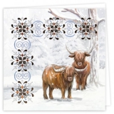 HDC10001 Hobby Dots Cards 1 Sturdy Winter