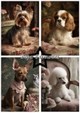 PFA126 Paperpack Shabby Dogs A5
