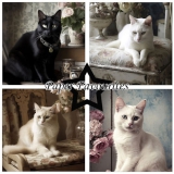 PF281 Papierpack Shabby Cats