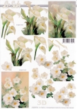 4169974 Blumen