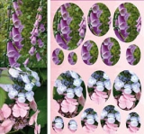 506-6035 Pyramiden Karten 14 a