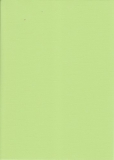 6216 Bazix A4 Karton Lime