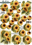 630136 Sonnenblumen