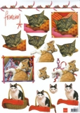 3DFK1234 Franciens Katten