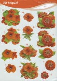 VBK2491 Blumen in orange