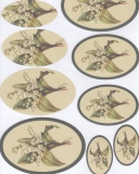 PCT8079 Lily of The Valley